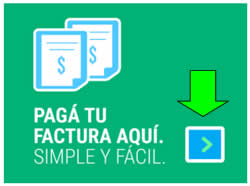 Guía de trámites online Aysam Aguas Mendocinas 3 como pagar online la boleta de aysam aguas mendocinas