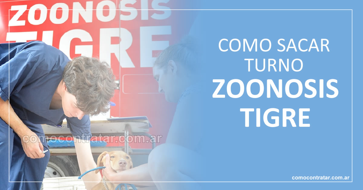cómo sacar turnos online y por teléfono zoonosis tigre perros y gatos