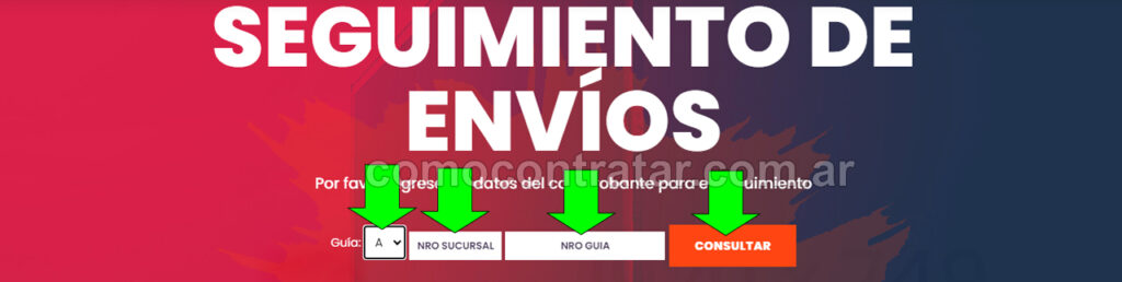 imagen del formulario de seguimiento de envíos ruta cargo argentina online
